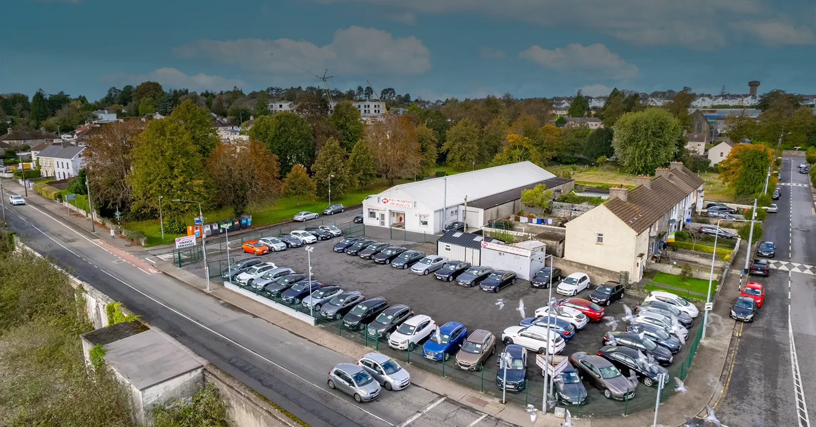 Niall Mccarthy Car Sales